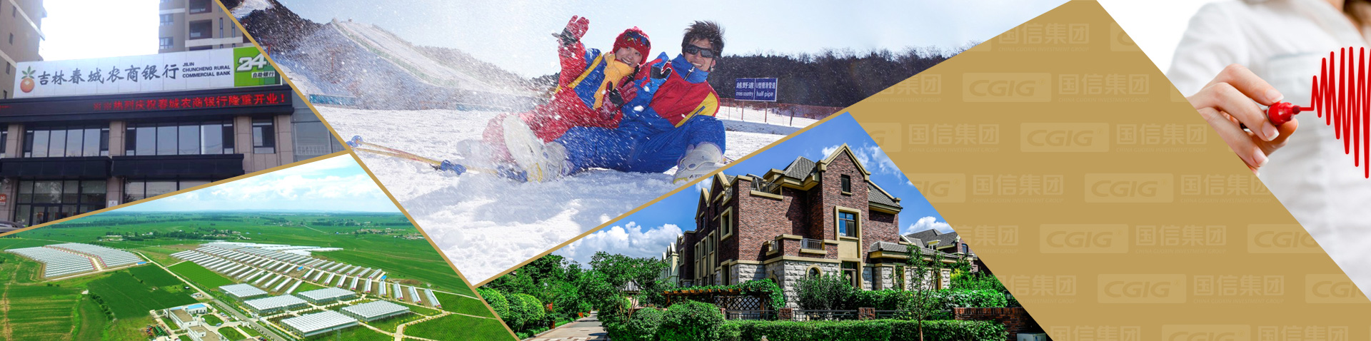 新宝GG—创立事业平台