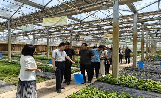 2024年6月27日，，，，，，，，中国绿色食物生长中心相关向导莅临农业总公司考察调研_副本.jpg